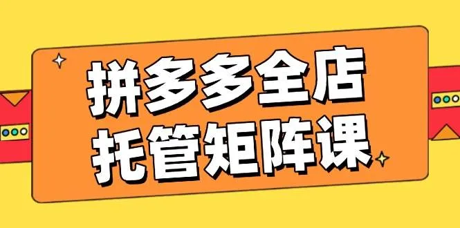 （14328期）拼多多全店托管矩阵课，盈利动销玩法，高效计划设置，提升店铺效益_学通网创