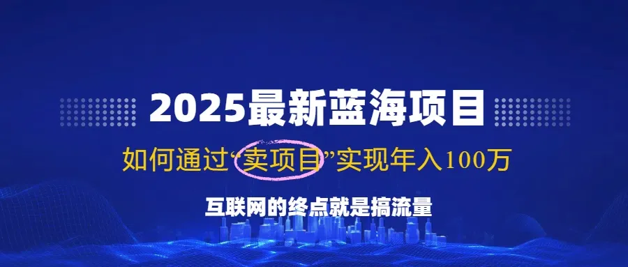 （14305期）2025最新蓝海项目，零门槛轻松复制，月入10万+，新手也能操作！_学通网创