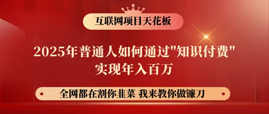 镰刀训练营超级IP合伙人，25年普通人如何通过“知识付费”年入百万！_学通网创
