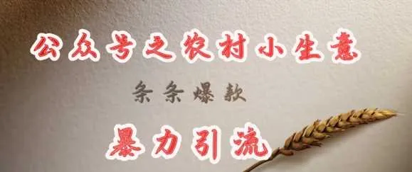 deepseek写农村小项目，条条爆款，暴力引流_学通网创