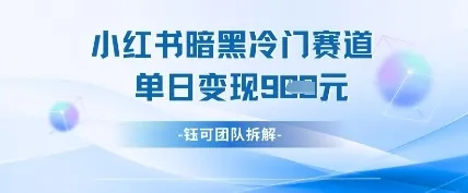 小红书冷门”暗黑”赛道，单日收益多张_学通网创