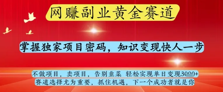 网创副业黄全赛道，掌握独家项目密码，知识变现快人一步，告别韭菜轻松实现单日变现1k+【揭秘】_学通网创