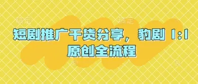 短剧推广干货分享，豹剧 1:1原创全流程_学通网创