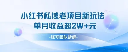 小红书私域项目新玩法，单月变现过W+_学通网创