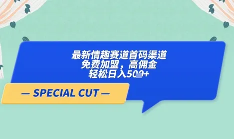 【轻云】最新情趣赛道首码渠道，免费加盟，高佣金，轻松日入5张+ - 学通网创_学通网创