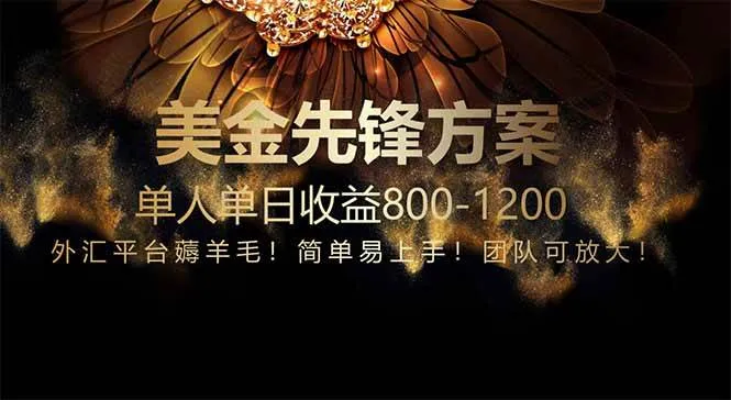 （14761期）免费技术！小众赛道！一年布局抵三年努力，每日800+_学通网创