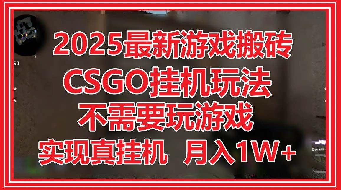 （14743期）2025最新游戏搬砖，CSGO挂机，不需要玩游戏，实现真挂机，月入1W+_学通网创