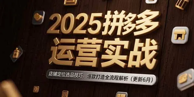 （15235期）2025拼多多运营实战：店铺定位选品技巧，爆款打造全流程解析（更新6月）_学通网创