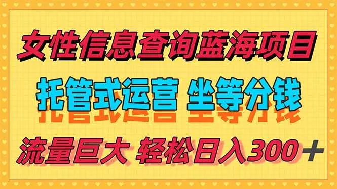 （15216期）稳定日入300＋，小众信息查询蓝海项目，全程懒人式托管，解放你的时间_学通网创