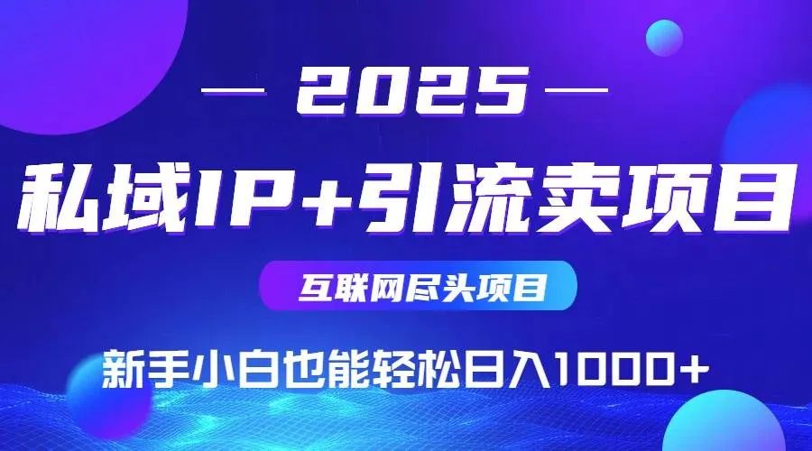 （15531期）2025网创尽头项目，私域IP+引流，新手小白也能在家日入1000+_学通网创