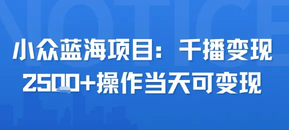 小众蓝海项目，千播变现2.5k+操作当天可变现_学通网创