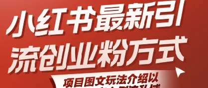 小红书最新引流创业粉方式，项目图文玩法介绍以及如何安全倒流私域_学通网创