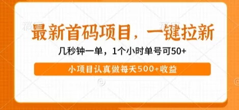 最新首码项目，操作最简单，收益高，一键拉新，1个小时单号可50+，小项目认真做每天5张+收益【揭秘】_学通网创