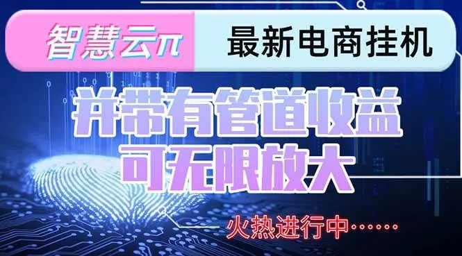 图片[1]_（15314期）智慧云π电脑挂机单机每天收益300—500+ 并带有团队管道收益 可无限放大 - 学通网创_学通网创
