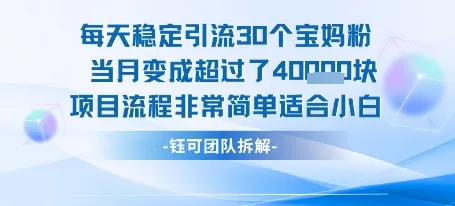 每天稳定引流30个人 当月变成超过了4个W项目流程非常简单适合小白_学通网创