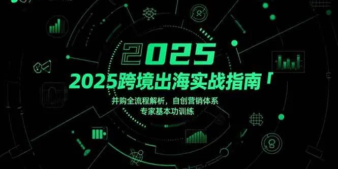 （15503期）2025跨境出海实战指南，并购全流程解析，自创营销体系，专家基本功训练_学通网创