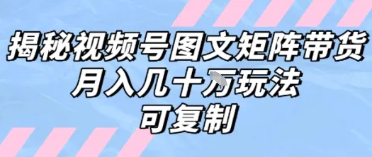 解密视频号图文矩阵带货，月入几个W的打法，可复制_学通网创