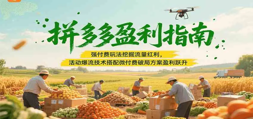 拼多多盈利指南:强付费玩法挖掘流量红利,活动爆流技术搭配微付费方案实现盈利跃升_学通网创