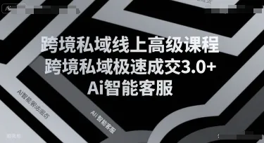 跨境私域线上高级课程，跨境私域极速成交3.0+Ai智能客服_学通网创