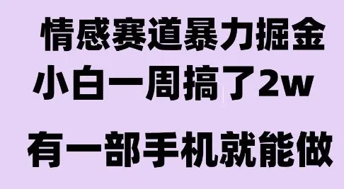 情感暴力掘金项目，新人操作一周挣了2W，长期稳定小白可做【揭秘】_学通网创