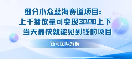小众蓝海赛道项目：当天变现1k+适合新手操作 +适合长期玩_学通网创