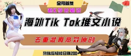 海外tiktok小说推文暴力项目，高停留率，高转化率，上手后一天搞顿饭钱不是问题_学通网创