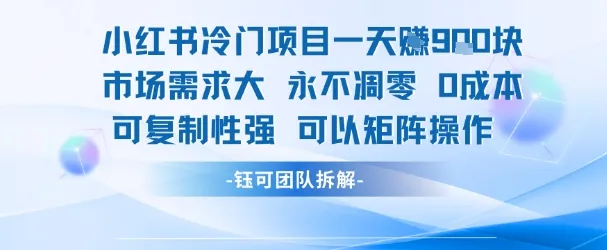 小红书冷门项目一天收益9张，市场需求大，0成本，可复制性强可以矩阵操作_学通网创