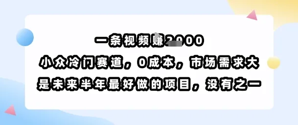 一条视频挣1k，小众冷门赛道，0成本，市场需求大，是未来半年最好做的项目，没有之一_学通网创