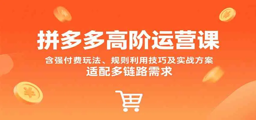 拼多多高阶运营课，含强付费玩法、规则利用技巧及实战方案，适配多链路需求_学通网创