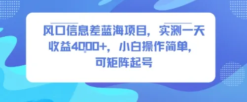 风口信息差蓝海项目，实测一天收益4k+，小白操作简单，可矩阵起号_学通网创