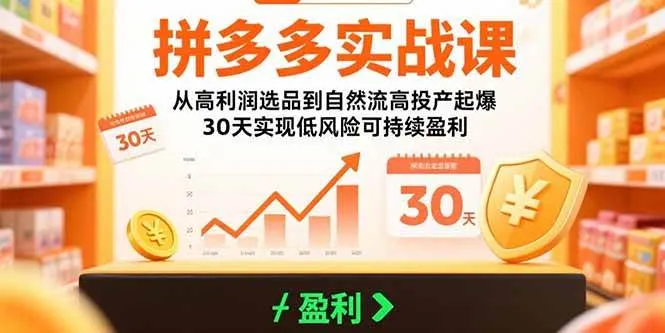 （15586期）拼多多实战课：从高利润选品到自然流高投产起爆 30天实现低风险可持续盈利_学通网创