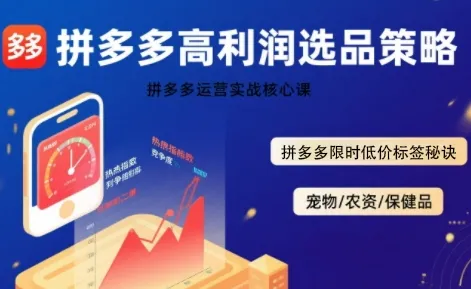 拼多多选品暴利技术实战课，拼多多高利润选品策略，拼多多限时低价标签秘诀_学通网创