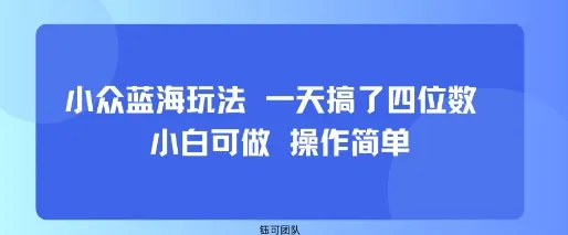 小众蓝海玩法 一天搞了四位数 小白可做 操作简单_学通网创