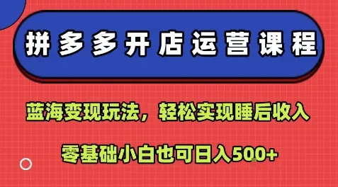 拼多多开店运营课程：蓝海变现玩法，轻松实现睡后收入，零基础小白也可日入5张_学通网创