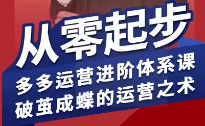 拼多多运营进阶系统课，从零起步，多多运营进阶体系课，破茧成蝶的运营之术_学通网创