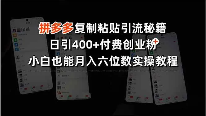 （15613期）拼多多复制粘贴引流秘籍，日引400+付费创业粉，小白也能月入六位数实操…_学通网创