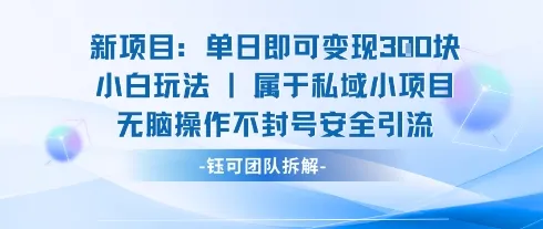 新项目单日即可变现3张的小白玩法无脑操作不封号安全引流_学通网创