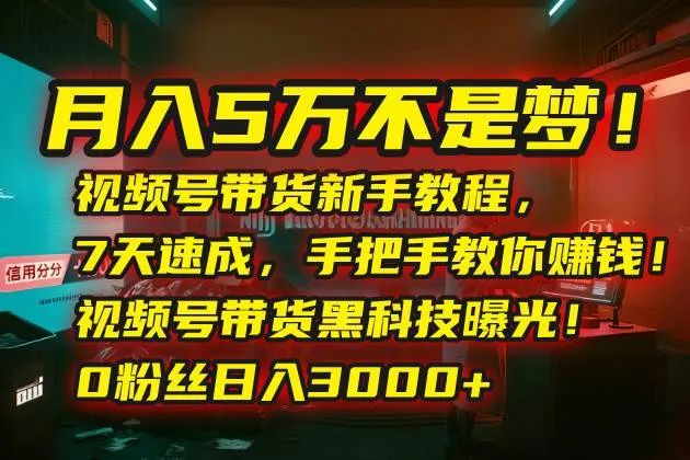 （15595期）月入5万不是梦！视频号带货新手教程，7天速成，手把手教你赚钱！视频号…_学通网创