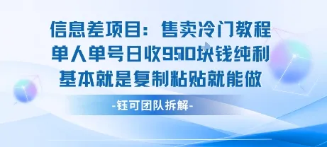 信息差项目:售卖冷门教程单人单号日收9张纯利基本就是复制粘贴就能做_学通网创