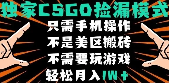 CSGO自动捡漏项目,最新独家玩法,不是美区搬砖,不需要了解和玩游戏,新手小白轻松月入1W+【揭秘】_学通网创