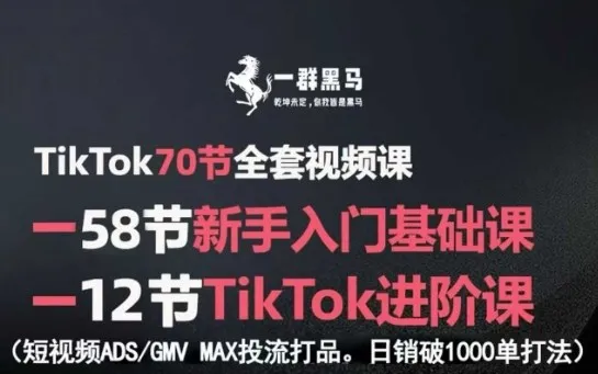 TikTok全套视频课，新手入门+进阶课，短视频ADS-GMV MAX投流打品，日销破1000单打法_学通网创