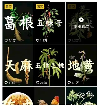 抖音中草药赛道，用AI做中草药故事视频，45条作品涨粉13W，橱窗带货猛猛出单_学通网创