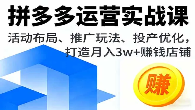 拼多多运营实战课，活动布局、推广玩法、投产优化，打造月入3w+赚钱店铺_学通网创