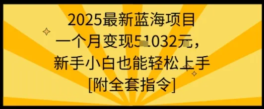 2025最新蓝海项目一个月变现1w+新手小白也能轻松上手【附全套指令】_学通网创