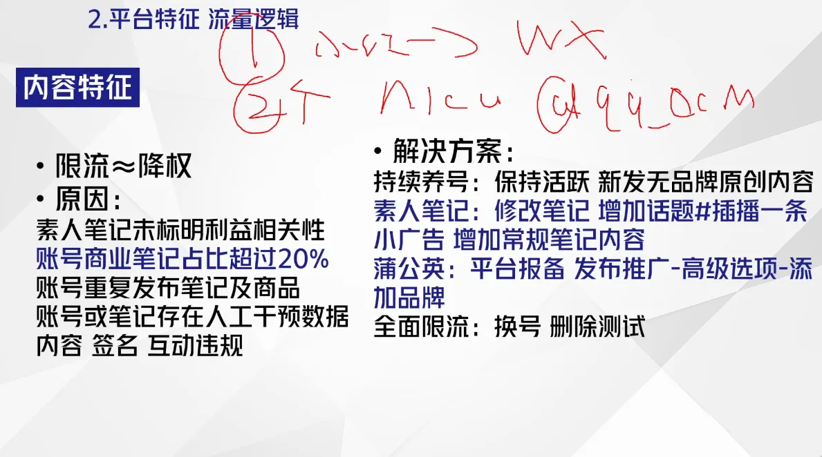 尼采老师·小红书爆单系列课_学通网创