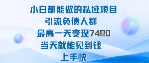 2025年小白都能做的私域项目引流负债人群最高一天变现1k+高变现难度低当天就能见到钱上手快_学通网创