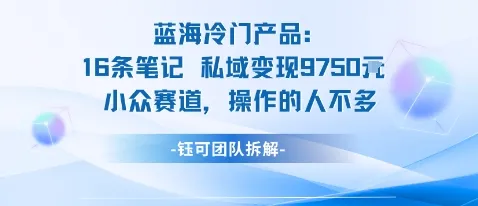 蓝海项目：16条笔记私域变现9750米小众赛道操作的人不多_学通网创