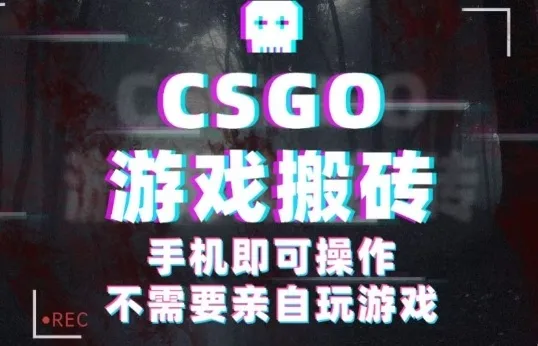 CSGO游戏挂G捡漏，单日扫货5张+，年底小高峰上车可吃肉，手机即可操作，兼职副业创业网创【揭秘】_学通网创