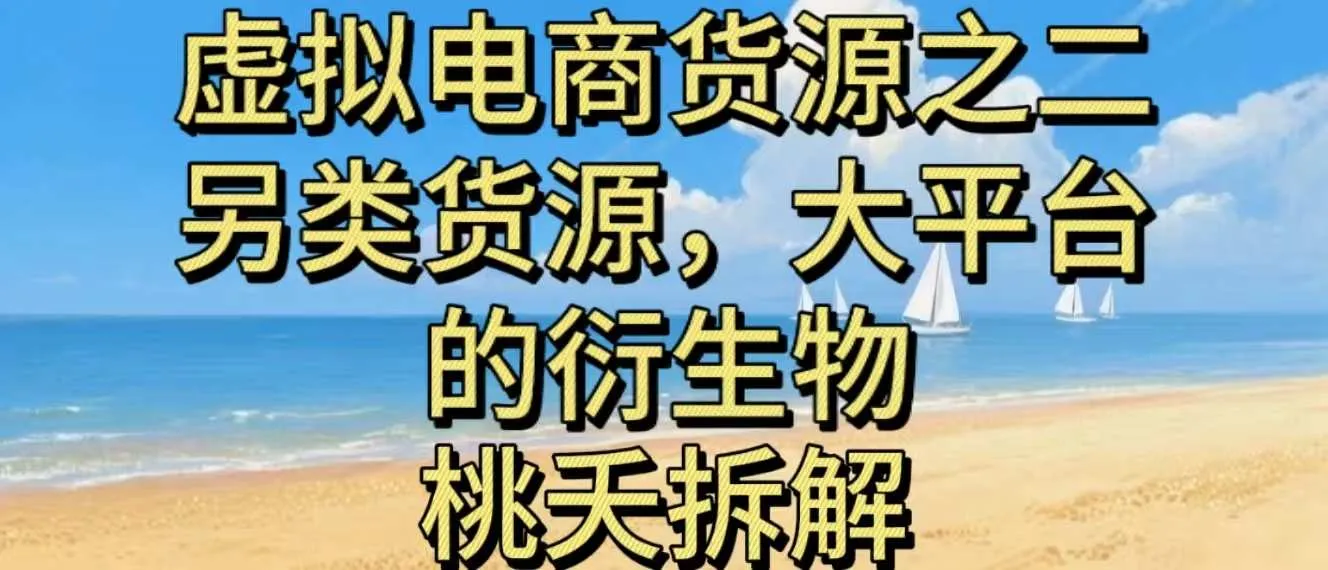 虚拟电商之二—另类的货源，大平台的衍生物 - 学通网创_学通网创