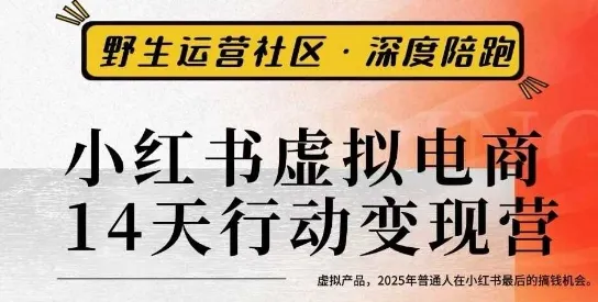 小红书虚拟电商14天变现训练营3.0，虚拟产品，2025年普通人在小红书最后的搞钱机会_学通网创